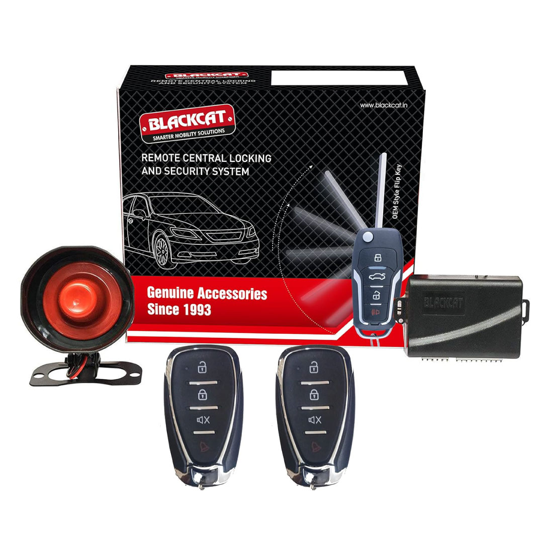 Security System Blackcat