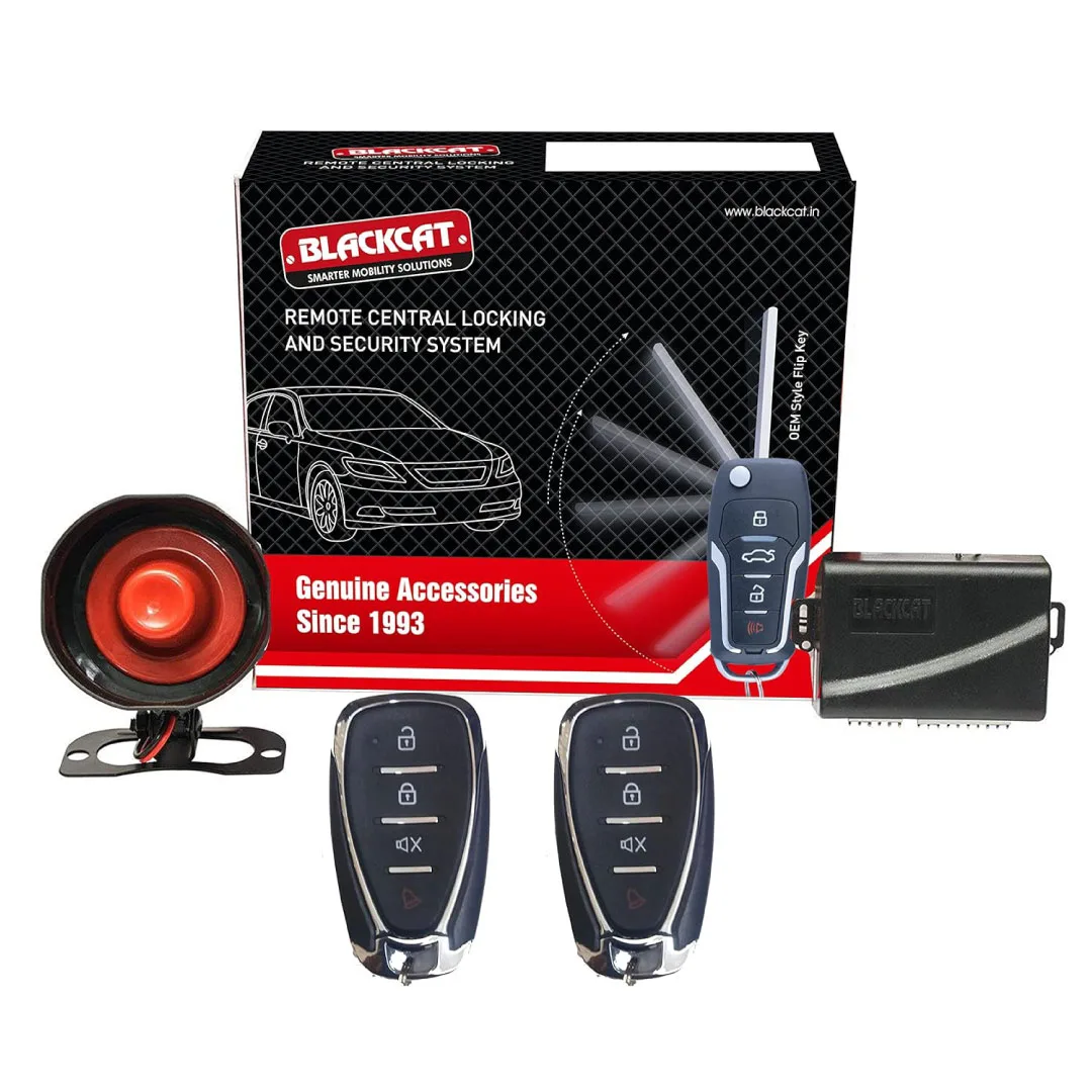 Security System Blackcat