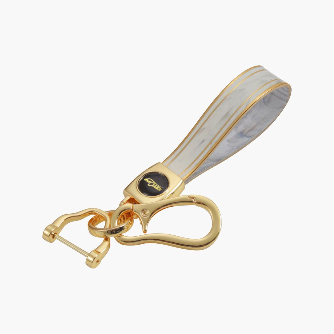 Key Cover Alto 800 Keycare