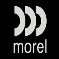 Morel