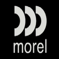 Morel