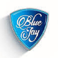 Bluejay