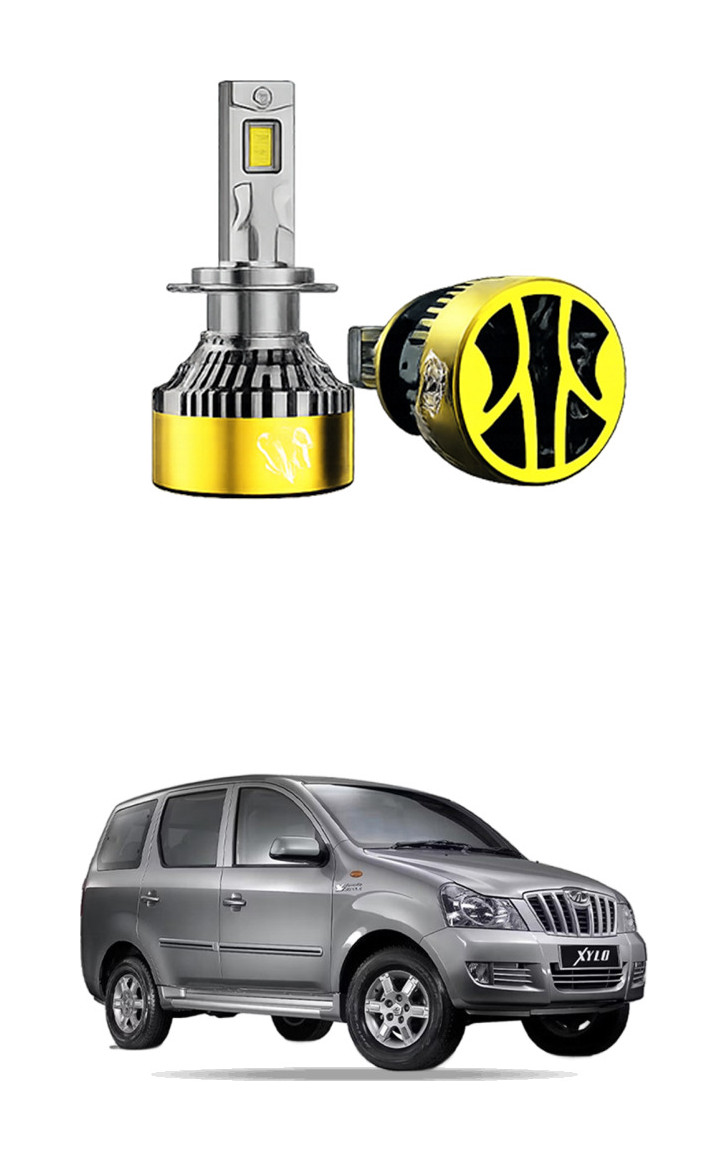 LED Bulb for Xylo 09-12