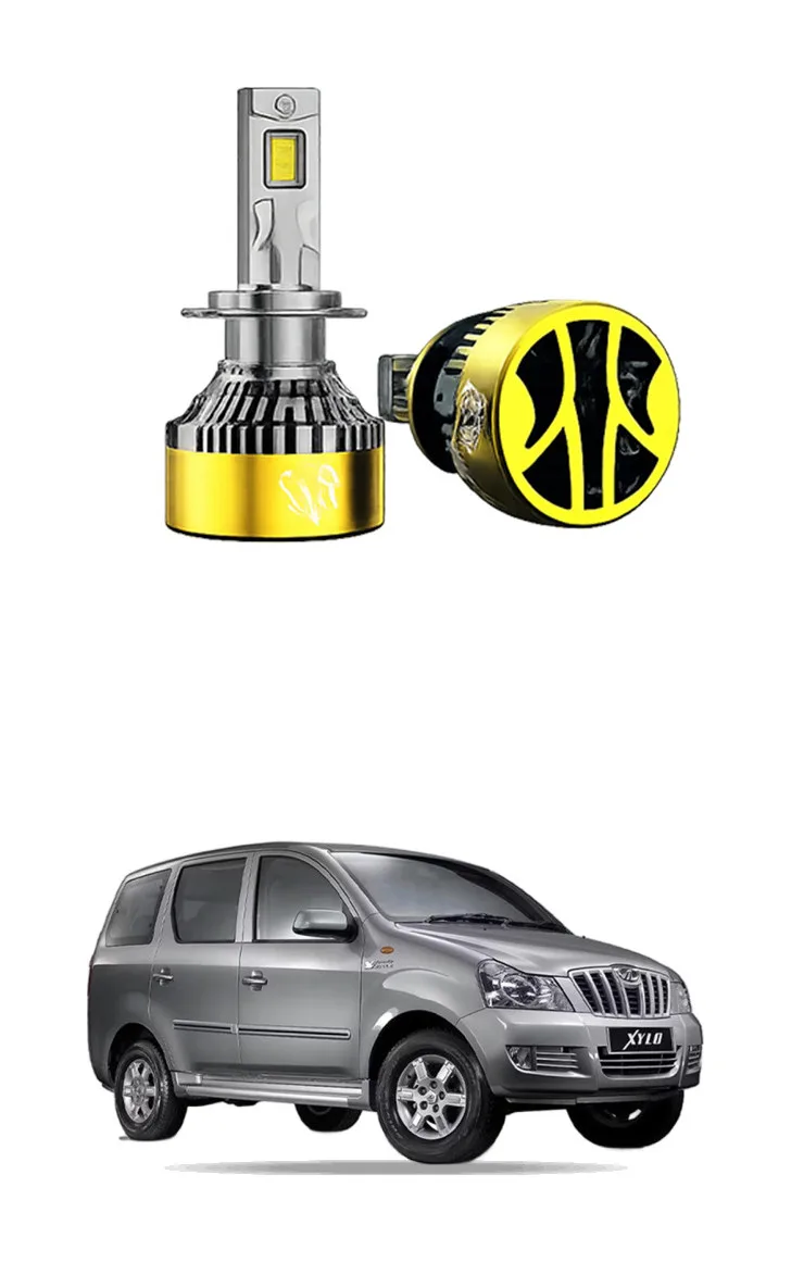 LED Bulb for Xylo 09-12