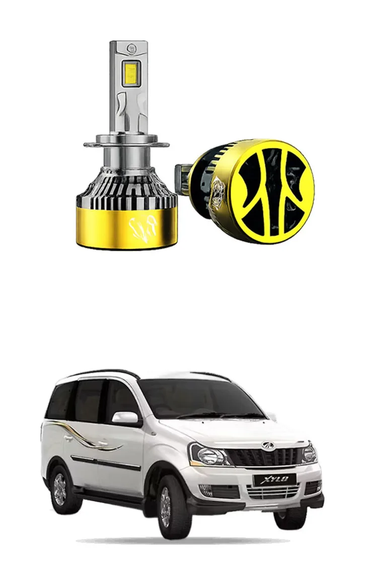 LED Bulb for Xylo 12-14