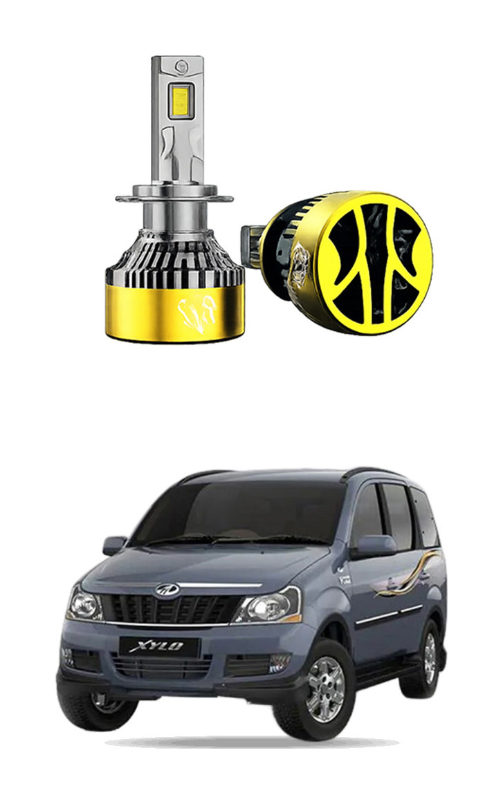 LED Bulb for Xylo 14-19