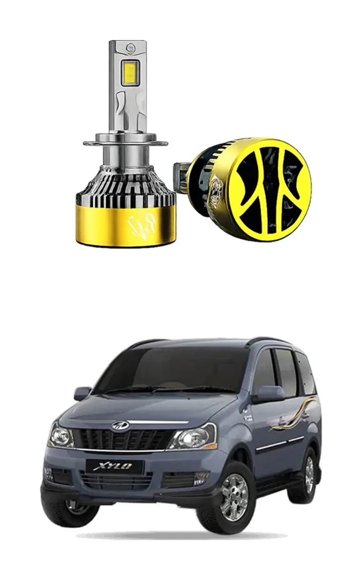 LED Bulb for Xylo 14-19