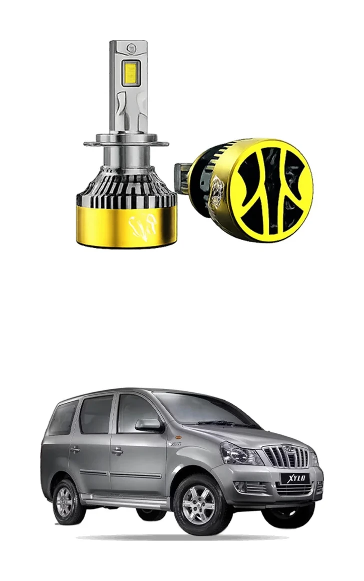 LED Bulb for Xylo 09-12